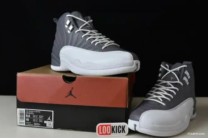 JORDAN STEALTH 12 AIR CT8025-610 0706